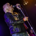 Click to enlarge GutterPunk - Professional Concert Photography